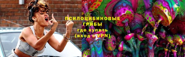 хмурый Алексин