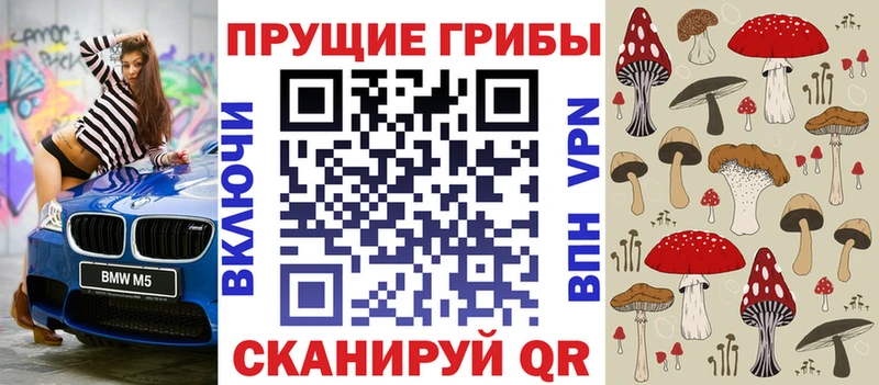 купить наркотик  Борзя  KRAKEN tor  Псилоцибиновые грибы мицелий 