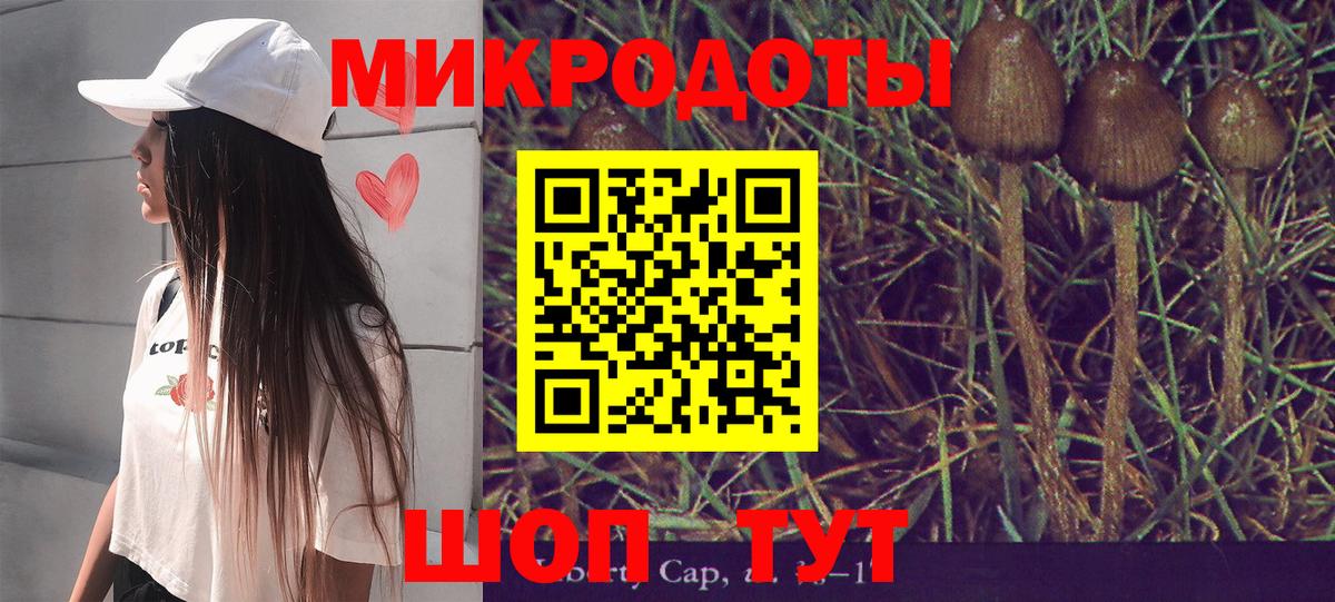 Борзя  Галлюциногенные грибы прущие грибы  Вход с VPN 