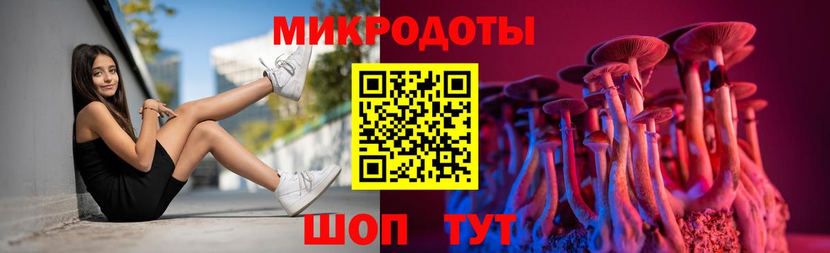 Псилоцибиновые грибы GOLDEN TEACHER Борзя